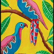 Exotic Parrots